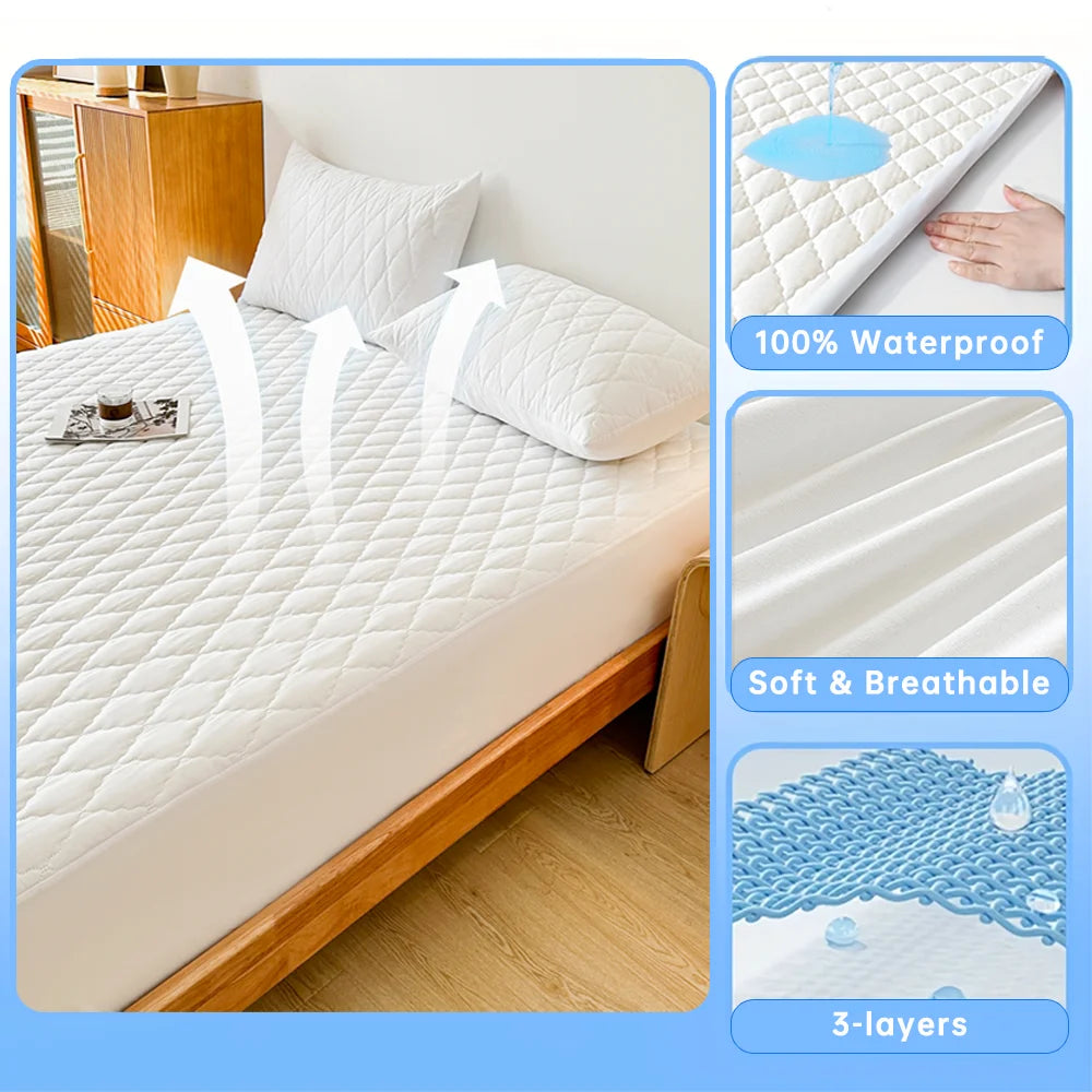 Mattress Protector